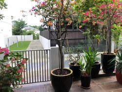 Jalan Lim Tai See (D10), Terrace #454955201